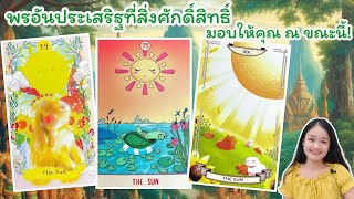 พรอันประเสริฐที่สิ่งศักดิ์สิทธิ์มอบให้คุณ ณ ขณะนี้!💍 pick a deck👩‍❤️‍👨🏡💞🌳🍀🍇🌷🎀