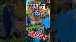 Nashik papaya nursery satpur 💐 | papaya nursery 🌺 | पपया ज नर्सरी | nursery in nashik | #nashi