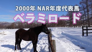 2000年NAR年度代表馬 ベラミロード Belle-Ami Lord