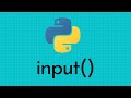 The Input Function In Python