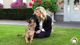 Harrigan Parkside Funeral Home Cherished Companions