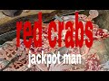 bubo red crabs, part2