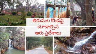 @విష్ణుమూర్తి భూమి పై పెట్టిన మొదటి పాదం, 600 కోట్ల సంవత్సరాల నాటి శిలలు/ tirumala vlog #02