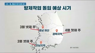 과수 개화기 도래, 과수화상병 막기 위한 적기 방제 필수