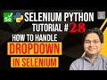 Selenium Python Tutorial #28 - How to handle Dropdown in Selenium