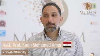 Asst. Prof. Amin Mohamed Amer shares his experience of MEIDAM 2018