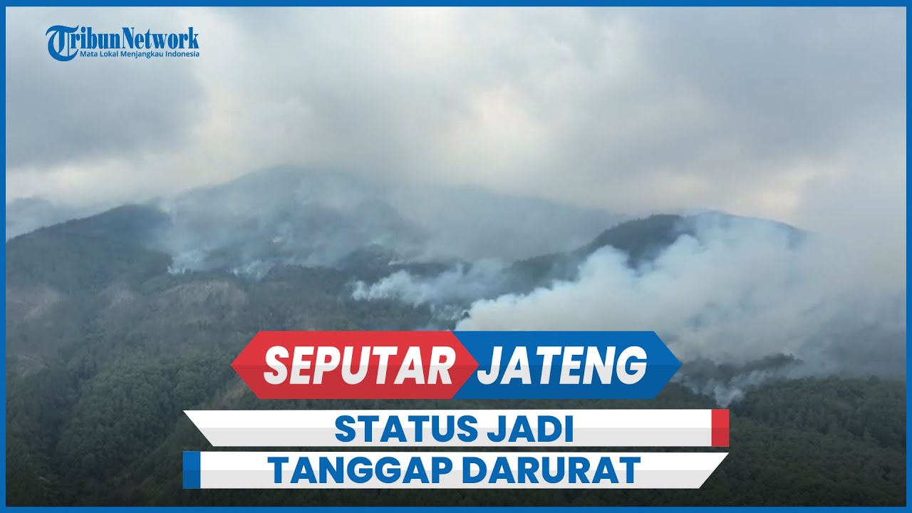 Kebakaran Gunung Lawu Meluas Hingga 20 Hektare, Status Jadi Tanggap ...