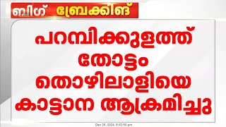 പറമ്പിക്കുളത്ത് തോട്ടം തൊഴിലാളിയെ കാട്ടാന ആക്രമിച്ചു