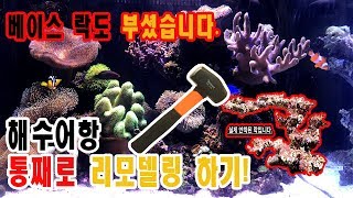 산호어항! 2자섬프 해수어항을 통째로 리모델링 했습니다.