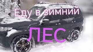 Лада Нива Тревел///Почистил снег и опять еду в зимний лес. #ниватревел #деревенскаяжизнь #покатушки