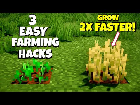 How do you speed up wheat in Minecraft?
