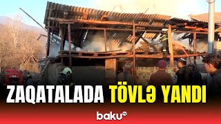 Zaqatalada güclü yanğın | Mindən çox ot bağlaması kül oldu