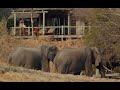Savute Safari Lodge | Savute Region