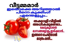 ഇതൊക്കെ അറിഞ്ഞാൽ കുക്കിംങ് അറിയാത്തവർ പോലും ട്രൈ ചെയ്തു പോകും /useful kitchen tips/sanu's dream.