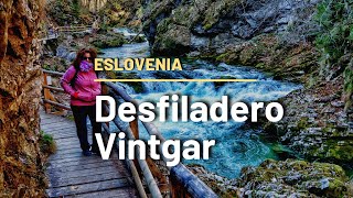 🇸🇮 Vintgar Gorge, la verdadera joya de Bled. Lo que tienes que saber sobre Vintgar, Bled, Eslovenia