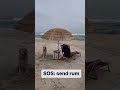 Cape Cop Beach Chair Company IG4