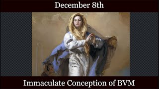 SUN Dec 8 2024 - Immaculate Conception of BVM