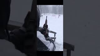 M14 in The Snow #shorts