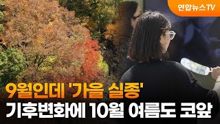 9월인데 '가을 실종'…기후변화에 10월 여름도 코앞 / 연합뉴스TV (YonhapnewsTV)