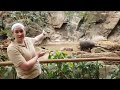 Zoo to You: Celebrate World Tapir Day with us