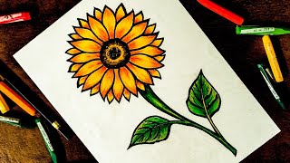 sunflower Drawing | How to Draw Sunflower | Easy sunflower Drawing | Sunflower Drawing in oil pastel