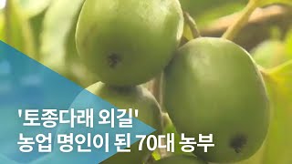 '토종다래 외길' 농업 명인이 된 70대 농부