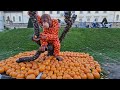 pumpkin art as you ve never seen before pumpkinfestival ludwigsburg 2022