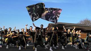 第15回　黒潮よさこい祭り　飯沼観音会場　鴉