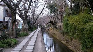 【未来への1分】2019/02/16 哲学の道 琵琶湖疏水分線 京都府京都市左京区 X-T3 4K60P