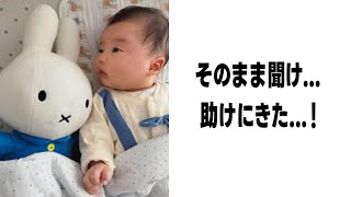 【神回】殿堂入りボケての面白画像で笑ったら負け！【ツッコミ】【1251】