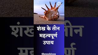 शंख के तीन महत्वपूर्ण उपाय#shiv #upay #shorts #ytshort #shortvideo #trending #शंख #pandit