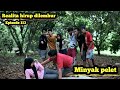 Realita hirup dilembur eps113 || Minyak pelet