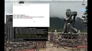 Run a Test with Sauce Connect Proxy