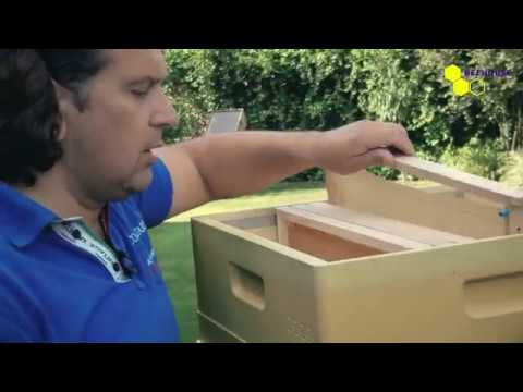 Ульи Медведь Купить От Производителя Цена