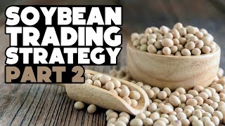 Soybean Trading Strategies Part 2 | Tim Black | Trading Strategy Guides