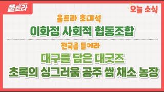 [울트라 Live] 2024년 12월 3일 (화) / 울트라초대석 '이화정 사회적 협동조합'