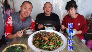 嘎嘎下饭的辣椒炒肉，每次都能吃到撑，香辣够味，拌米饭吃老香了