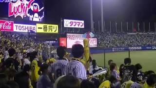 2016年9月11日　東京ヤクルトvs阪神　明治神宮球場　7回裏攻撃前　東京音頭