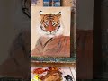 即使错过日落余晖 请记得还有满天星辰 art tiger 兴趣爱好 acrylicpainting