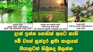 දැන් ඉන්න ගොඩක් අයට නැති මේ වගේ සුන්දර ළමා කාලයක් ඔයාලටත් තිබුනද බලන්න