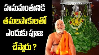 మంగళవారం హనుమంతుని pooja lo ఎన్ని తమలపాకులు వాడాలి..? |#hanuman