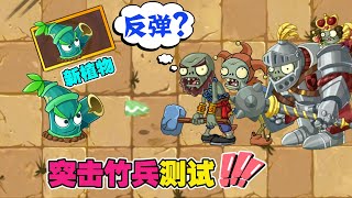 PvZ：新植物突击竹兵测试！锤子僵尸：穿透技能又如何？ 【豆姐说游戏】