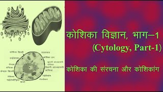 कोशिका विज्ञान | कोशिका की संरचना | कोशिका के अंग | Cytology | Cell Organelles | Cell Structure |