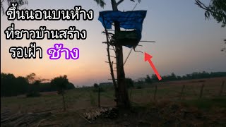 นอน1คืนบนห้างที่ชาวบ้านสร้างรอเฝ้าช้าง อยู่ข้างไร่มันสำปะหลัง ep.80