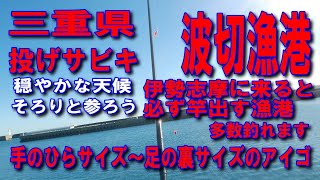 #124三重県波切漁港投げサビキ釣り手のひらサイズから足の裏サイズのアイゴ多数釣ます入江が素敵な道規模の大きいきれいな漁港色々な魚が良く釣れる漁港ファミリー家族連れサビキ釣りに良い車横付け釣り出来ます