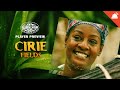Cirie Fields Survivor 50 Player Preview