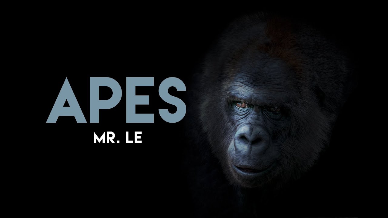 Apes Chapter 9 Part 1 Screencast Youtube