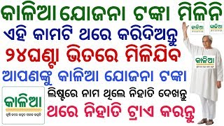 ଆପଣଙ୍କୁ ୨୪ଘଣ୍ଟା ଭିତରେ ମିଳିଯିବ କାଳିଆ ଯୋଜନା ଟଙ୍କା ଏହି କାମଟି କରନ୍ତୁ Kalia Yojana Money Milijib