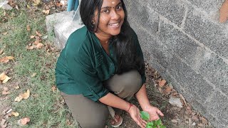 அகிலமே எனது இல்லம்🌱 DAY 184 to 209 | ATTENTION PLEASE | VLOG SATHIYA | SAVING MY EARTH FOR FUTURE.