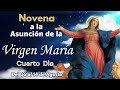 Novena por la Asunción de la Virgen María. DIA 4. Historias de fe #asuncion #maria #virgenmaria